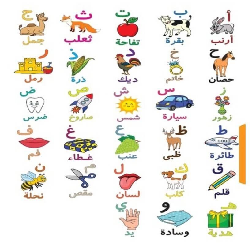 استراتيجيات و العاب سبورة الحروف العربية المصورة - مكتبة اكسبريس الكويت