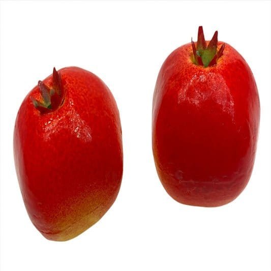 Foam Pomegranate || رمان فلين - مكتبة اكسبريس الكويت