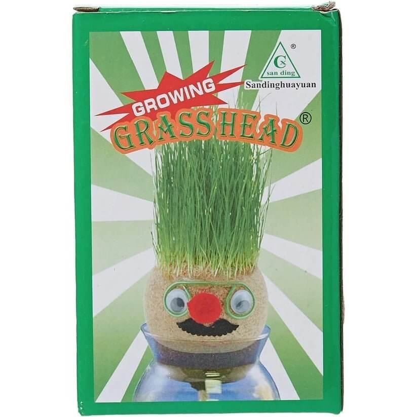 Growing Grass Head Large Size || دمية الراس العشبي حجم كبير يوم التخضير - مكتبة اكسبريس الكويت