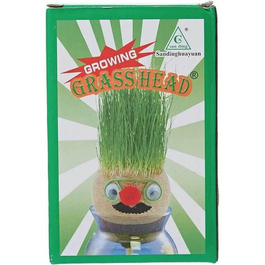 Growing Grass Head Large Size || دمية الراس العشبي حجم كبير يوم التخضير - مكتبة اكسبريس الكويت
