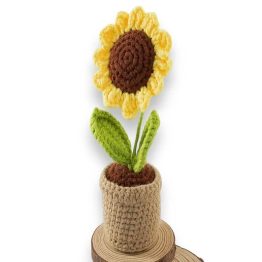Sunflower Crochet Package with Turorial || مجموعة كروشيه مع فيديو توضيحي شكل تباع الشمس - مكتبة اكسبريس الكويت